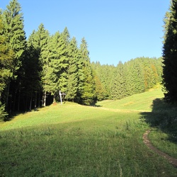 Hirschberg