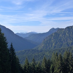 Fockenstein