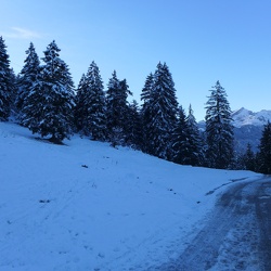 Wank und Esterbergalm