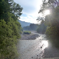 Vorderscheinberg