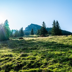 Breitenstein