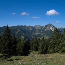 Seebergkopf 2022